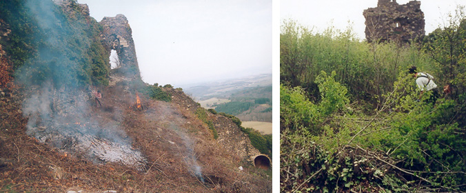 Chantier de défrichement en 2001, 2002 et 2003